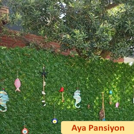 Aya Pansiyon 1