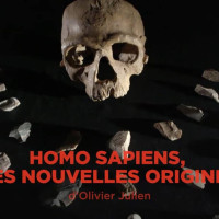 sapiens poster